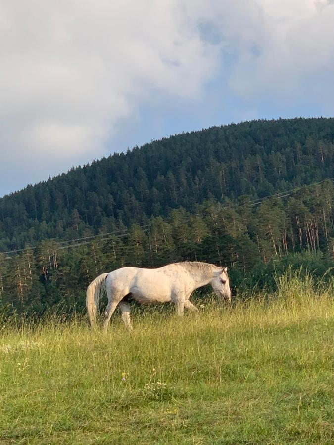 Ng Apartmani Tornik Zlatibor Exterior foto