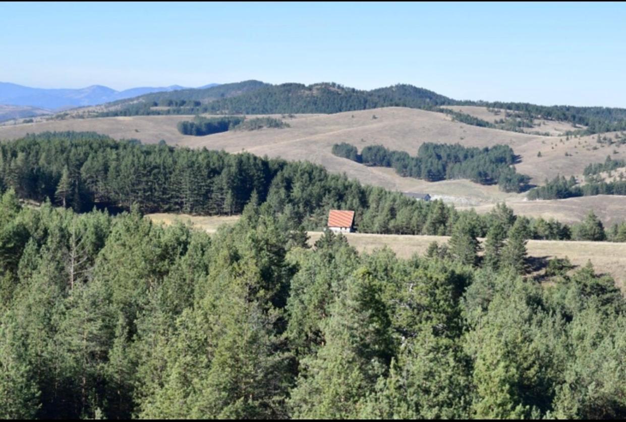 Ng Apartmani Tornik Zlatibor Exterior foto